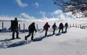 SORTIE RAQUETTES SUR L'AUBRAC