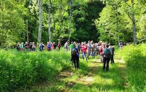 RANDONNEE DES CENT VALLEES LE 10 MAI 2026