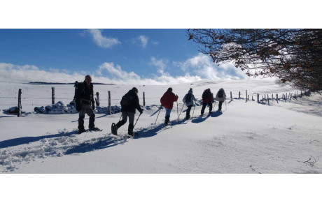 SORTIE RAQUETTES SUR L'AUBRAC