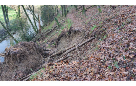 LA BASTIDE ROYALE DE SAUVETERRE DE ROUERGUE
