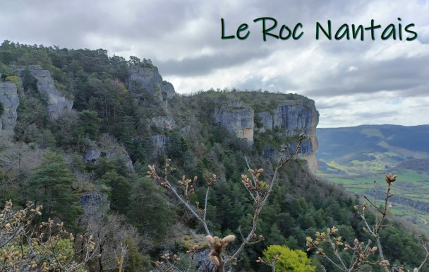 diverses photos